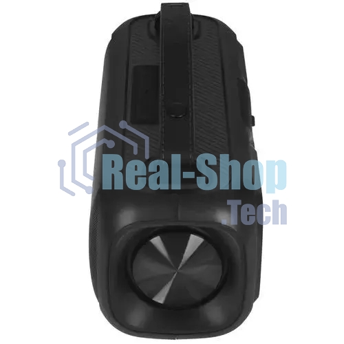 Портативная аудиосистема Telefunken TF-PS1281B (черный)