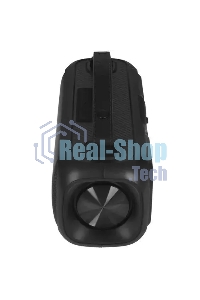 Портативная аудиосистема Telefunken TF-PS1281B (черный)