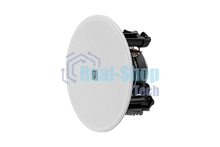 Акустическая система INTREND ITSPK-420CT двухполосная, потолочная: 4