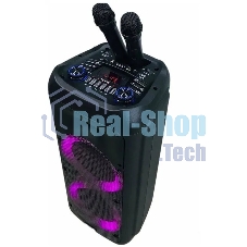 Колонка Eltronic DANCE BOX 08