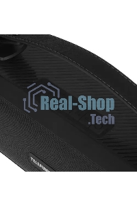 Портативная аудиосистема Telefunken TF-PS1281B (черный)