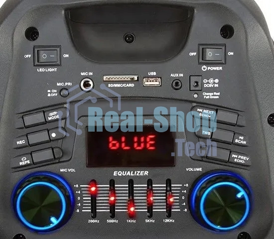 Колонка Eltronic DANCE BOX 08