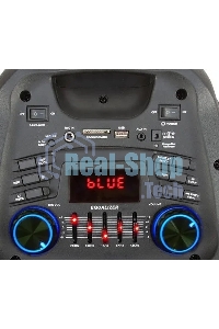 Колонка Eltronic DANCE BOX 08