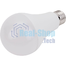 Лампа cветодиодная LED A65 IEK LL-A65-25-230-30-E27-G груша 25Вт 230В 3000К E27 GENERICA