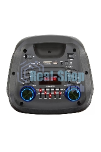 Колонка Eltronic FIRE BOX 08