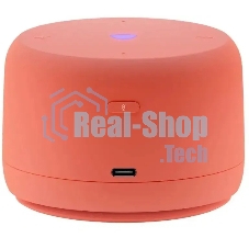 Умная колонка Yandex Станция Лайт 2 без часов Алиса coral 6W 1.0 BT/Wi-Fi 10м (YNDX-00028ORG)