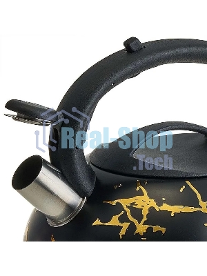 Чайник для плиты ALPENKOK AK-538 из нерж.стали 3л,со свистком,индукционное дно