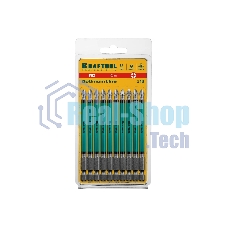 Биты профессиональные KRAFTOOL (PH2, 100 мм, 10 шт.)