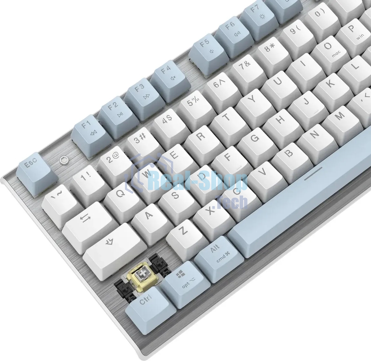 Клавиатура проводная A4Tech Fstyler FS100 Neon, USB, синий/белый