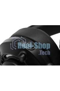 Гарнитура проводная с микрофоном мониторные оголовье Acer Nitro OHW306 черный ZL.HDSEE.00E