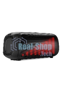 Акустическая система Smartbuy (SBS-5560) EVOLUTION 2, черный