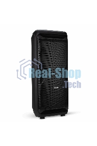 Колонка Eltronic 15