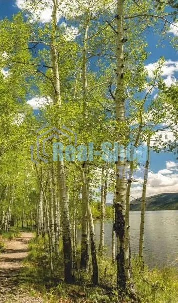 Электрообогреватель бытовой настенный ДЫХАНИЕ ТЕПЛА (рис. Березовый берег) Артикул 20с455