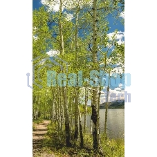 Электрообогреватель бытовой настенный ДЫХАНИЕ ТЕПЛА (рис. Березовый берег) Артикул 20с455