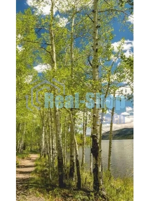 Электрообогреватель бытовой настенный ДЫХАНИЕ ТЕПЛА (рис. Березовый берег) Артикул 20с455