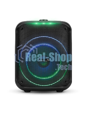 Колонка ELTRONIC 30-78 DANCE BOX 550 - 08