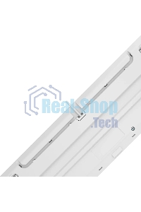 Клавиатура проводная A4Tech Fstyler FS100 Neon, USB, синий/белый