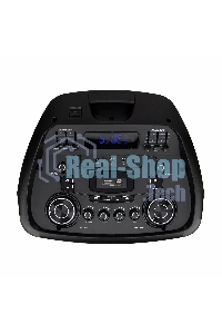 Колонка Eltronic 15