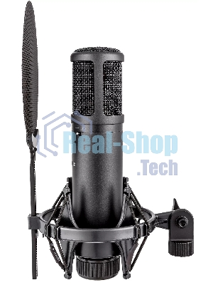 Микрофон конденсаторный sE Electronics SE 2200 20 Гц - 20 кГц, кардиоида, комплектация: металлический поп-фильтр, держатель типа паук, резьбовой переходник на микрофонную стойку