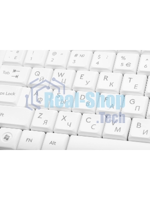 Клавиатура проводная A4Tech Fstyler FK15, USB, белый