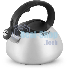 Чайник металлический Rondell Krafter RDS-1607 3 л, стальной