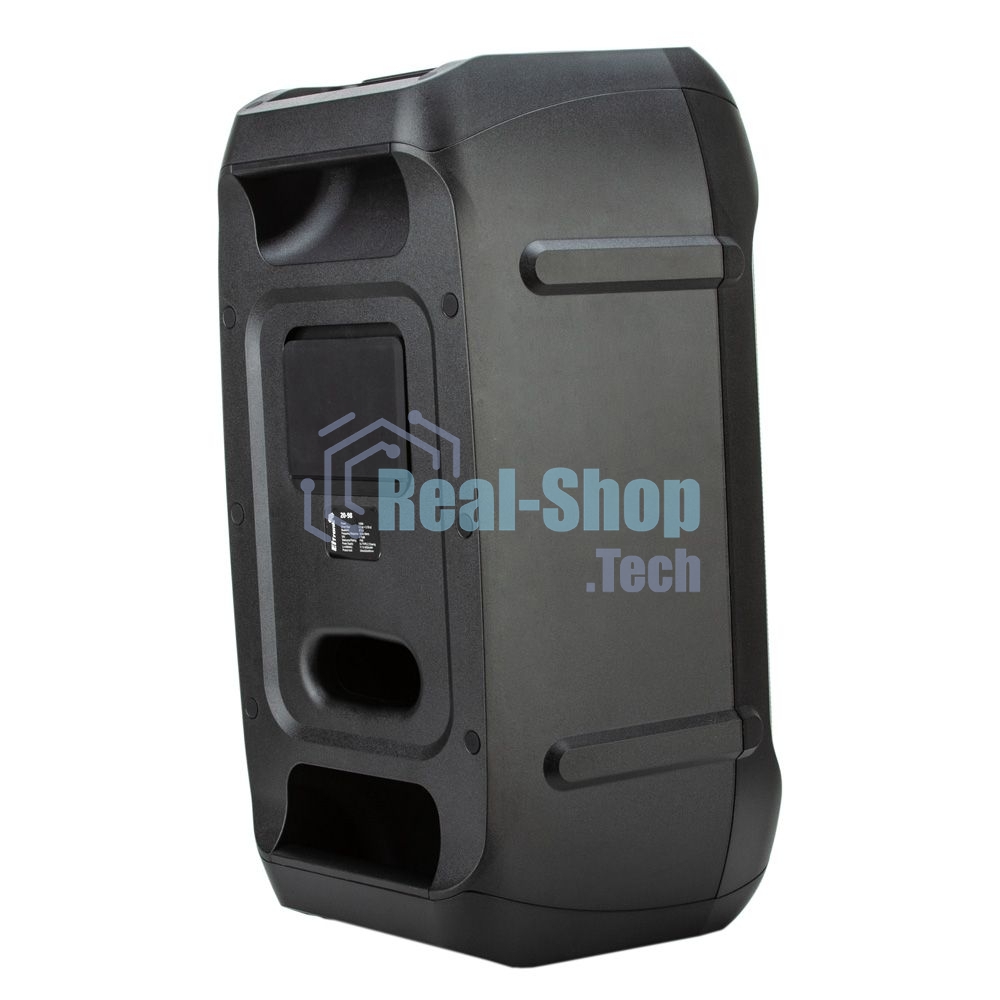 Колонка Eltronic 06