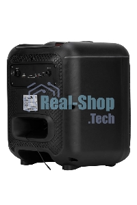 Колонка ELTRONIC 30-78 DANCE BOX 550 - 08