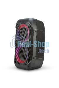 Колонка Eltronic 06