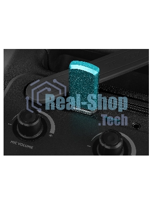 Портативная колонка SVEN PS-740, черный