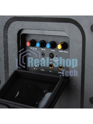 Колонка Eltronic 06