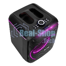 Колонка ELTRONIC 30-78 DANCE BOX 550 - 08