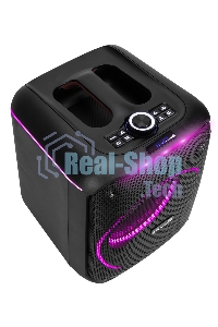 Колонка ELTRONIC 30-78 DANCE BOX 550 - 08