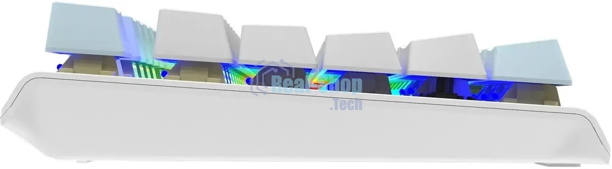 Клавиатура проводная A4Tech Fstyler FS100 Neon, USB, синий/белый