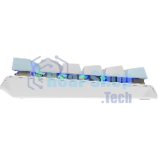 Клавиатура проводная A4Tech Fstyler FS100 Neon, USB, синий/белый