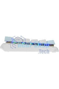 Клавиатура проводная A4Tech Fstyler FS100 Neon, USB, синий/белый