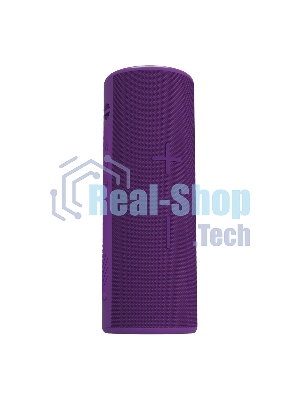 Портативная колонка SOUNDMAX SM-PS5024B(фиолетовый)