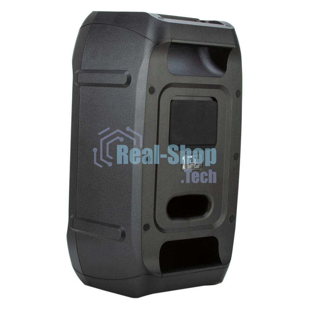 Колонка Eltronic 06