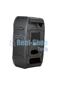 Колонка Eltronic 06