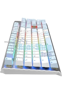 Клавиатура проводная A4Tech Fstyler FS100 Neon, USB, синий/белый