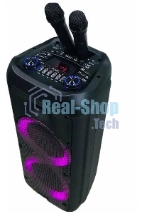 Колонка Eltronic 12