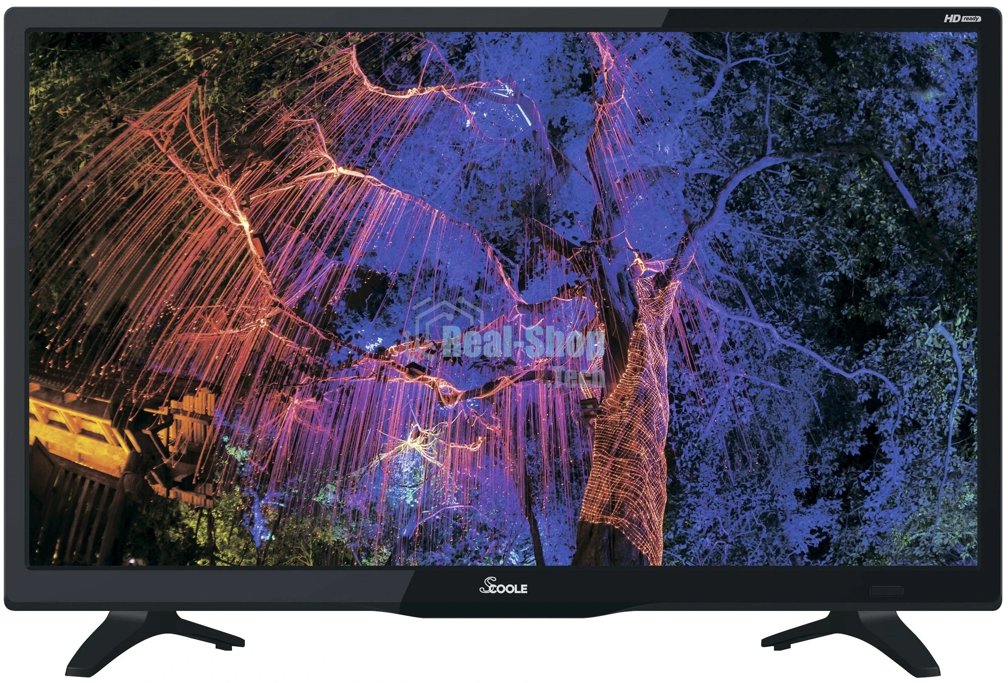 Телевизор Scoole 24