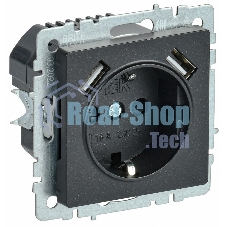 Розетка 1-местная IEK BRITE РЮш10-1-БрЧ (BR-R14-16-U21-D21-K02) 16А, с USB A+A 2.1А, с заземлением с защитными шторками, черный