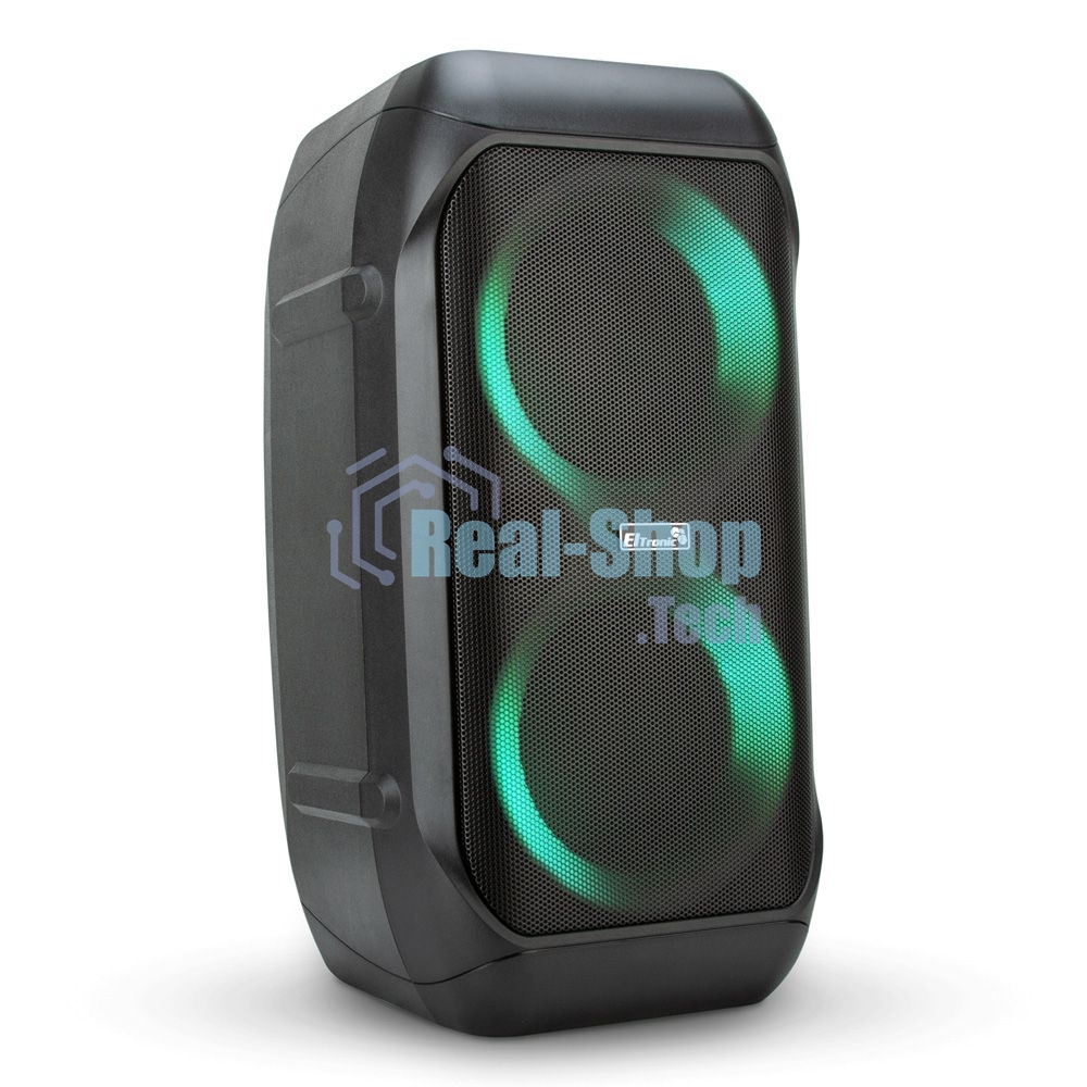 Колонка Eltronic 06