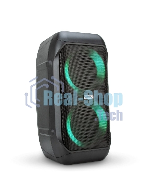 Колонка Eltronic 06