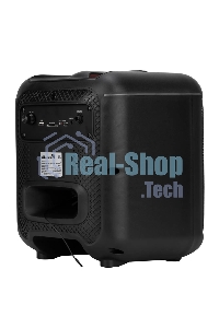 Колонка ELTRONIC 30-79 DANCE BOX 550 - 08