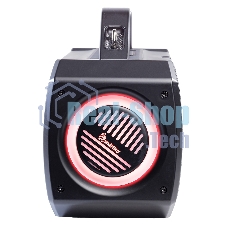 Портативная колонка Smartbuy (SBS-5820) FLYER черный