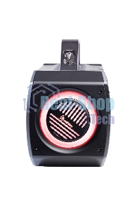 Портативная колонка Smartbuy (SBS-5820) FLYER черный