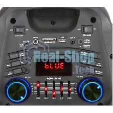 Колонка Eltronic 12