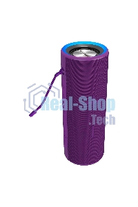 Портативная колонка SOUNDMAX SM-PS5024B(фиолетовый)