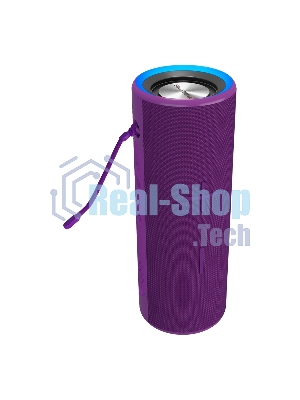 Портативная колонка Soundmax SM-PS5024B(фиолетовый)